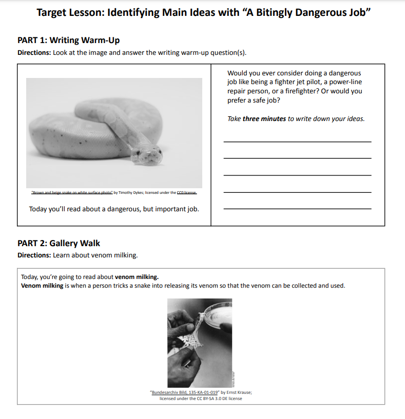 This is a screenshot of main idea lessons for 5th grade. It includes a writing warm-up for "A Bitingly Dangerous Job." Students will be asked to answer questions and engage in a gallery walk around the classroom.