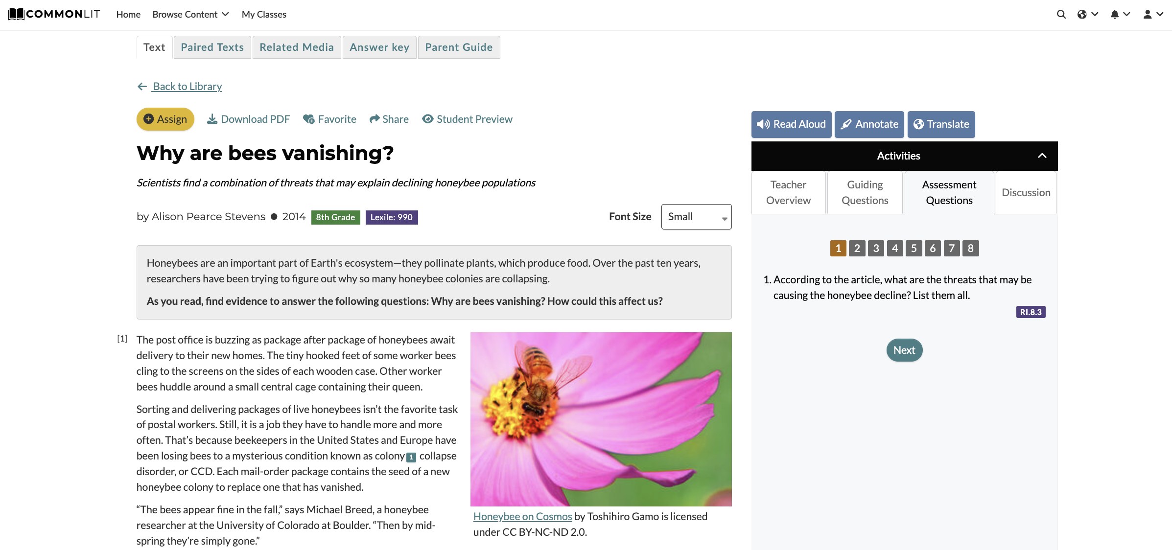 CommonLit's lesson "Why are bees vanishing?" with Assessment Questions highlighted.